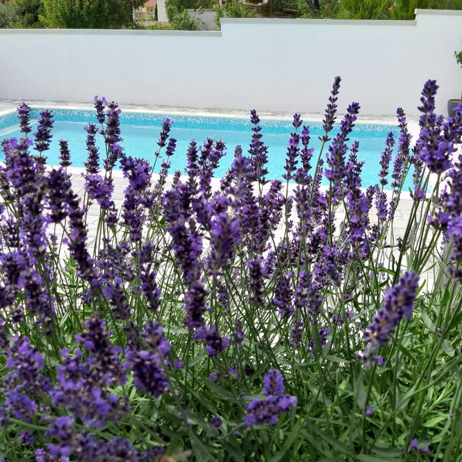 Villa Silver Starigrad Paklenica Bagian luar foto