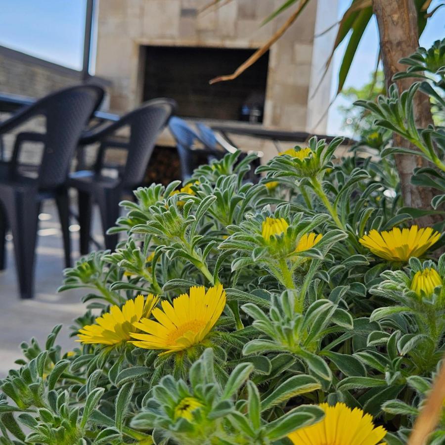 Villa Silver Starigrad Paklenica Bagian luar foto