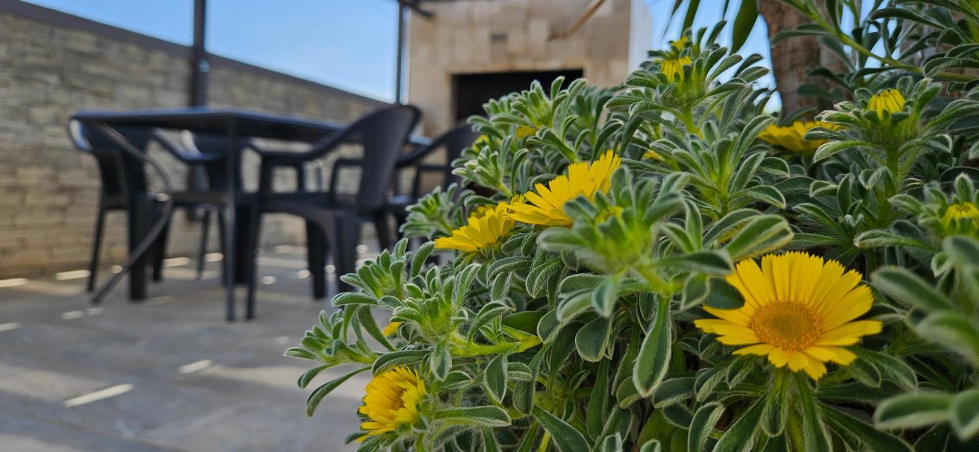 Villa Silver Starigrad Paklenica Ruang foto